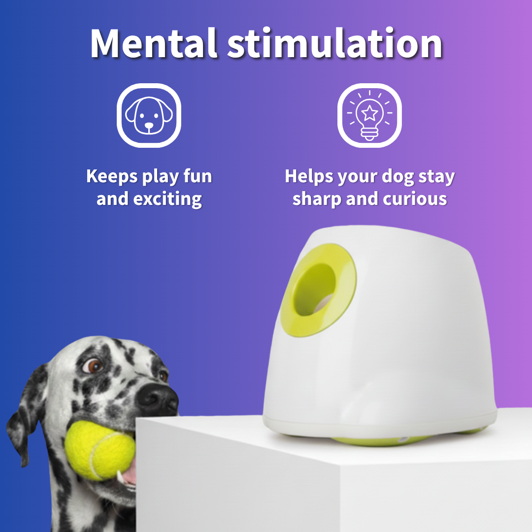 PlayPal™ The Portable Fetch Buddy