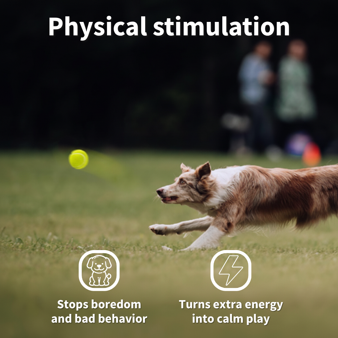 PlayPal™ The Portable Fetch Buddy