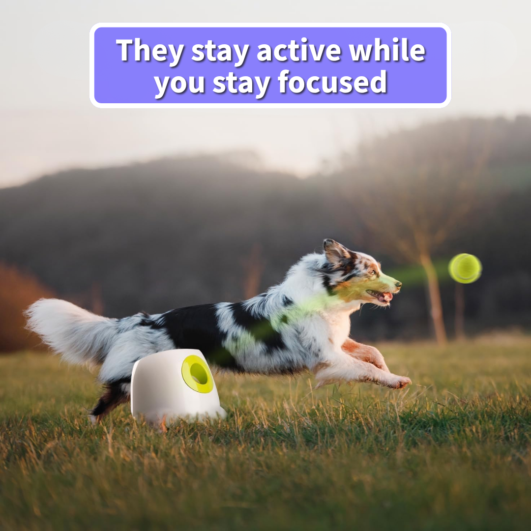 PlayPal™ The Portable Fetch Buddy