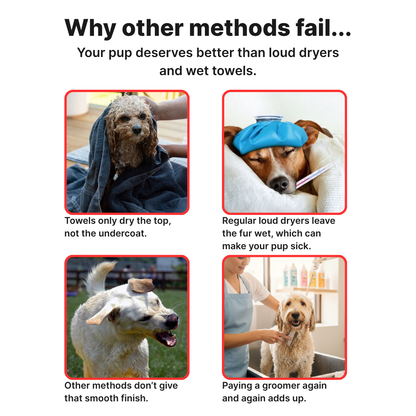 Groomi™ Silent Pet Hair Dryer